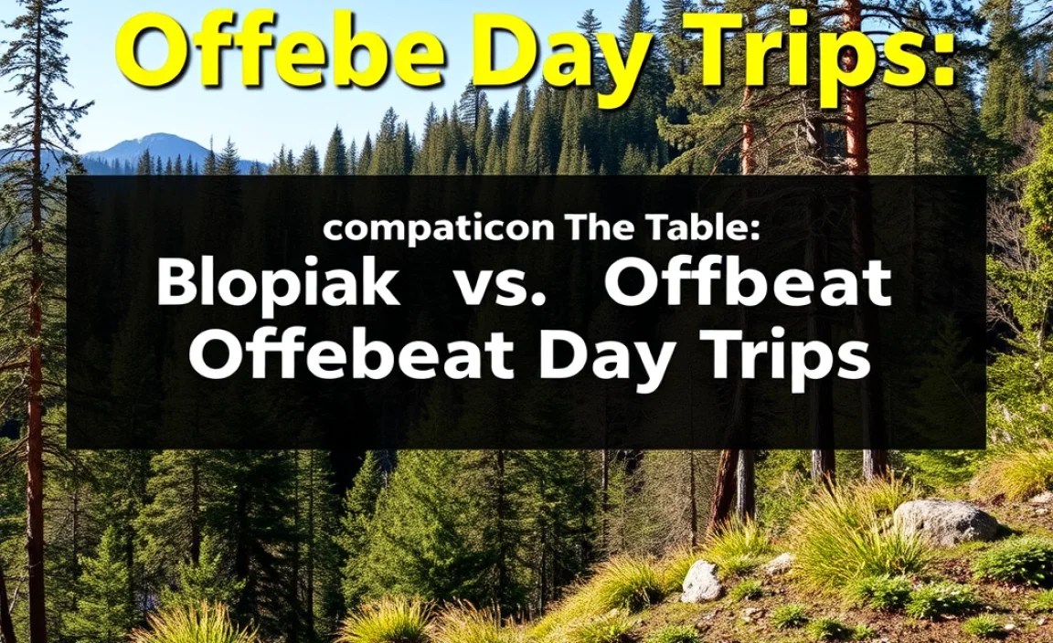 Comparison Table: Popular vs. Offbeat Black Forest Day Trips