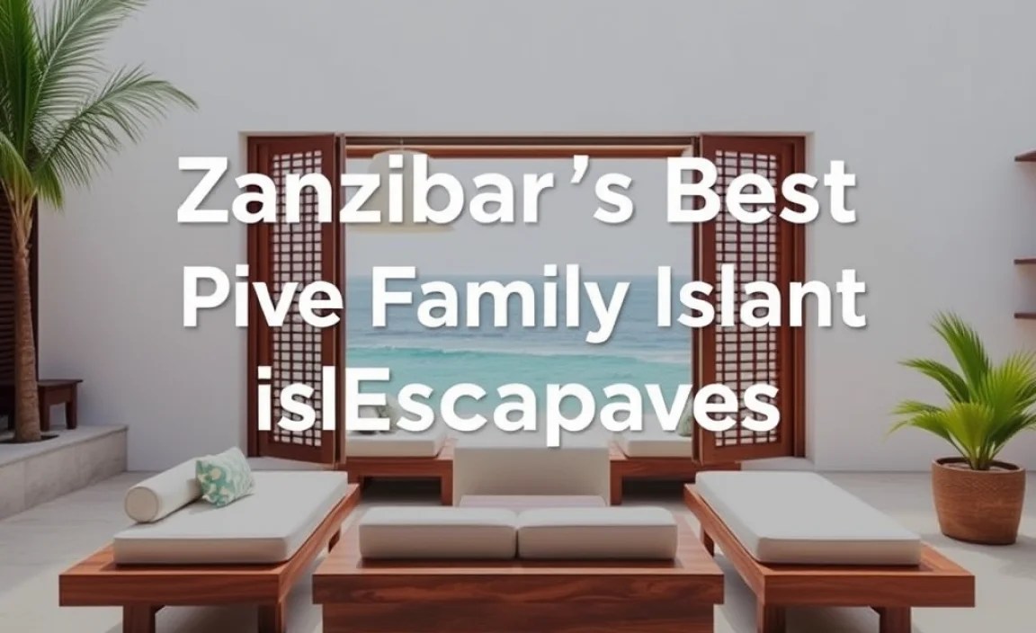 Cozy Island Accommodations