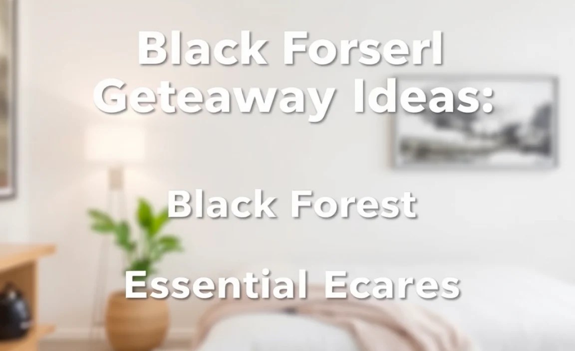 Essential Activities for Your Black Forest Weekend