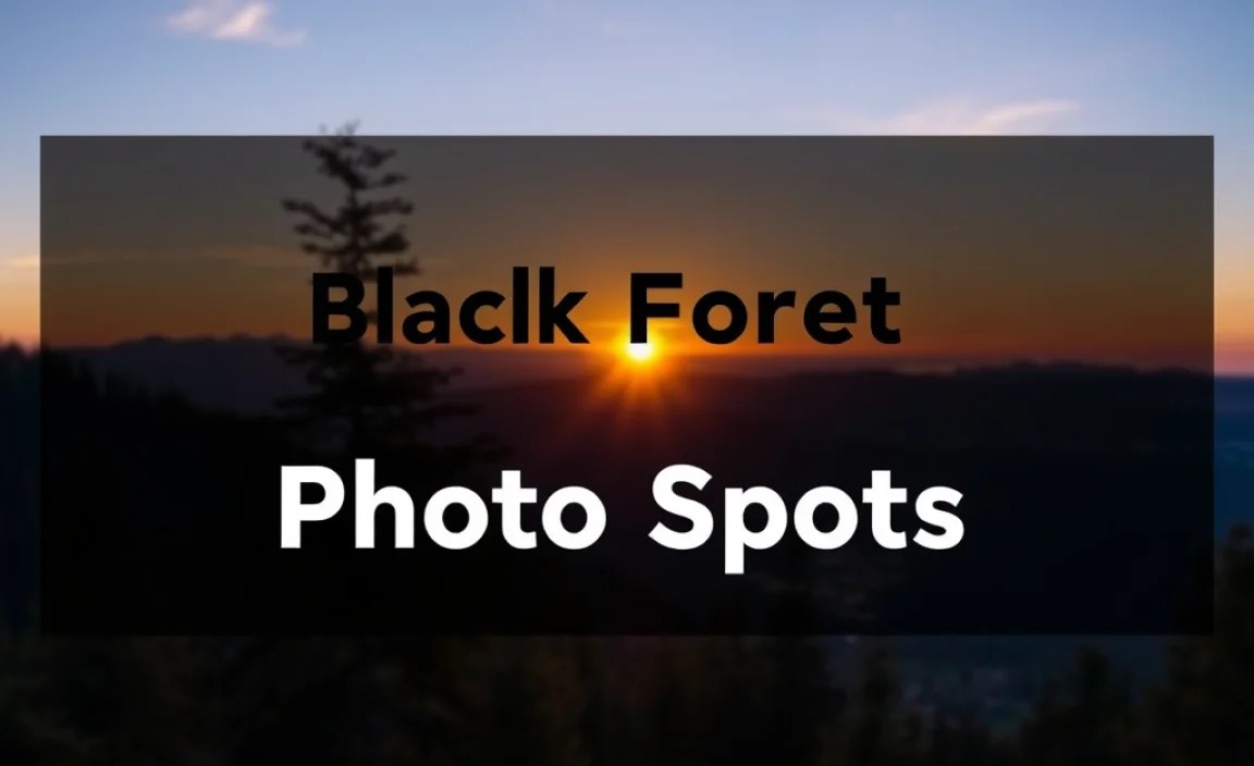 Essential Black Forest Sunset Photo Spots
