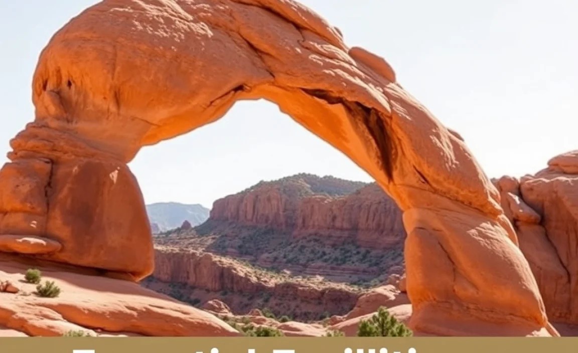 Essential Facilities and Services