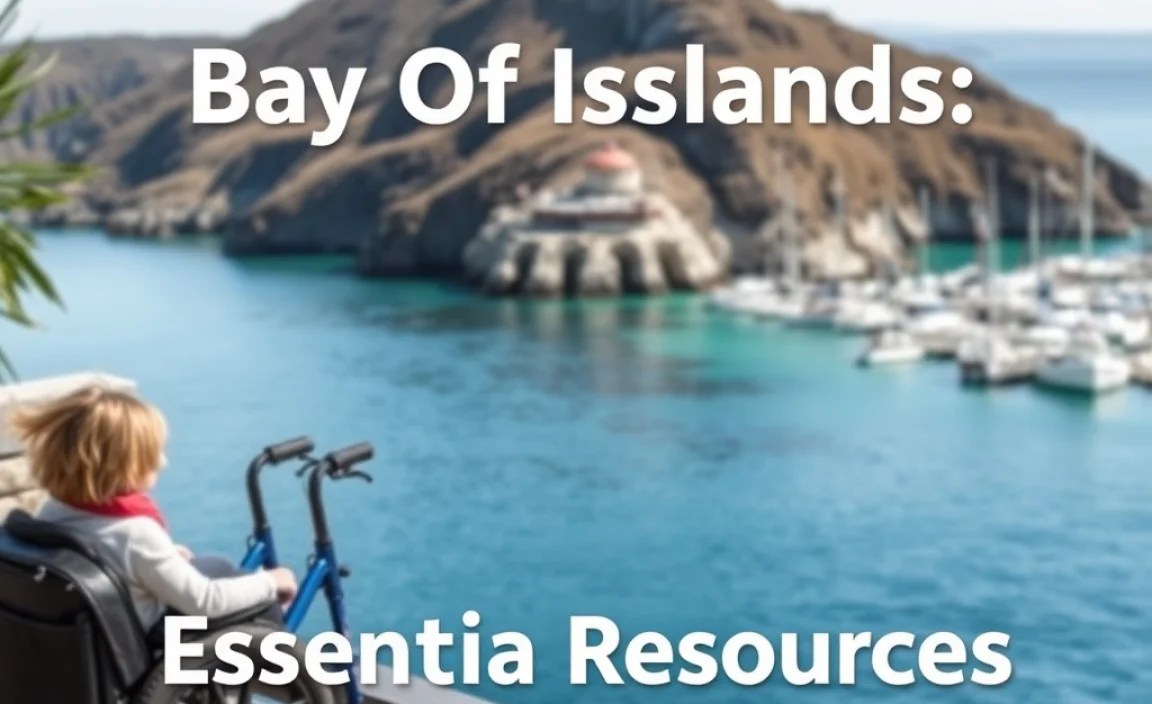 Essential Resources for Accessible Travel