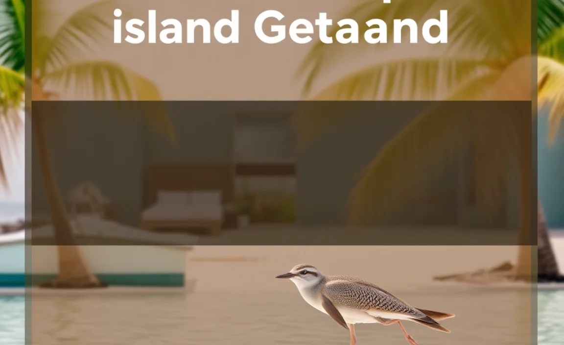 Experiencing Bahamian Wildlife