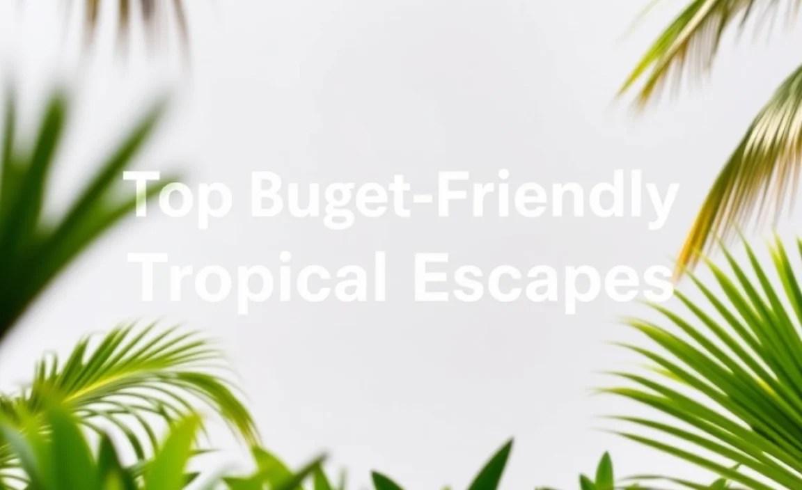 Explore Mah&eacute; on a Budget