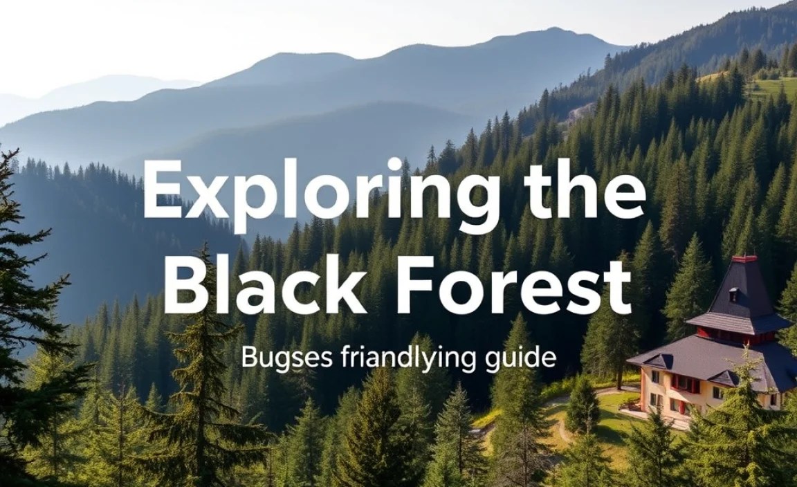 Exploring the Black Forest: Budget-Friendly Activities