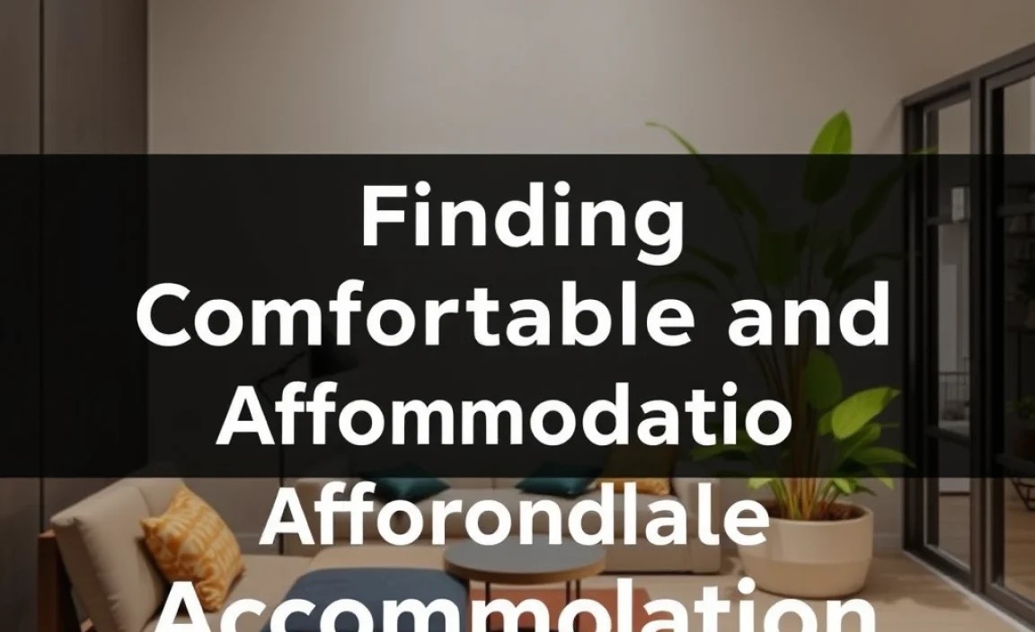 Finding Comfortable and Affordable Accommodation
