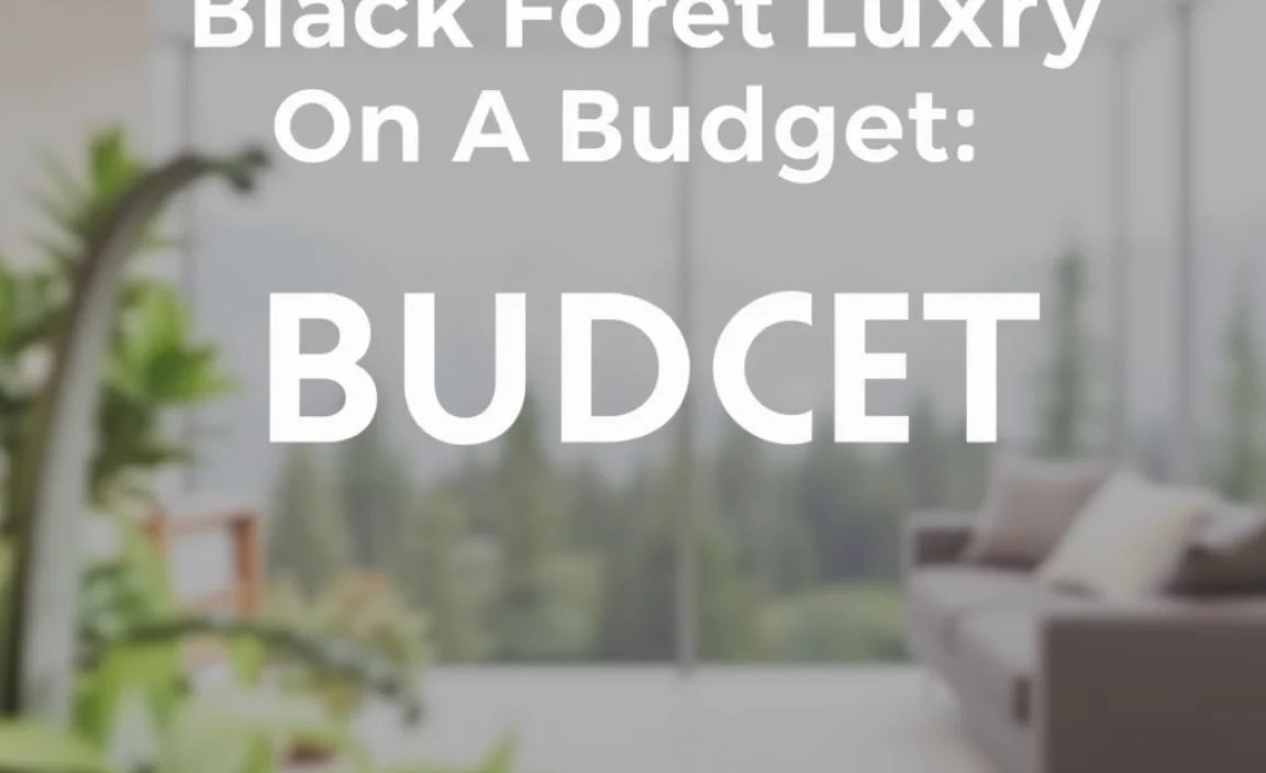 Free & Low-Cost Activities: Experience the Magic for Less