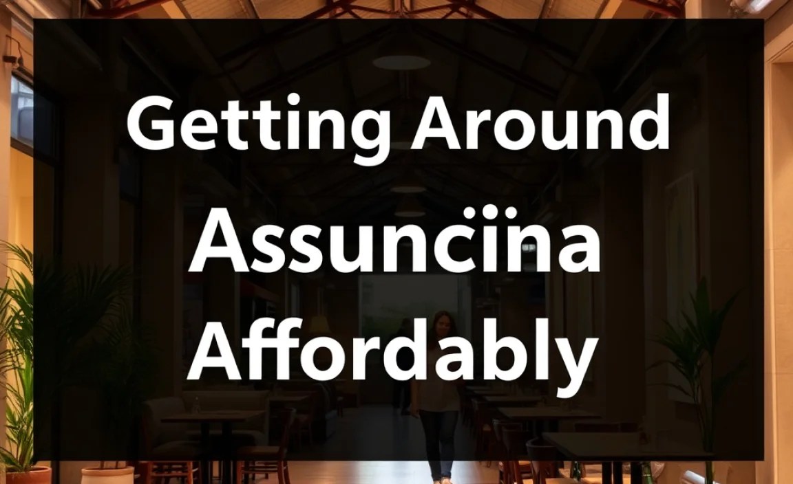 Getting Around Asuncion Affordably
