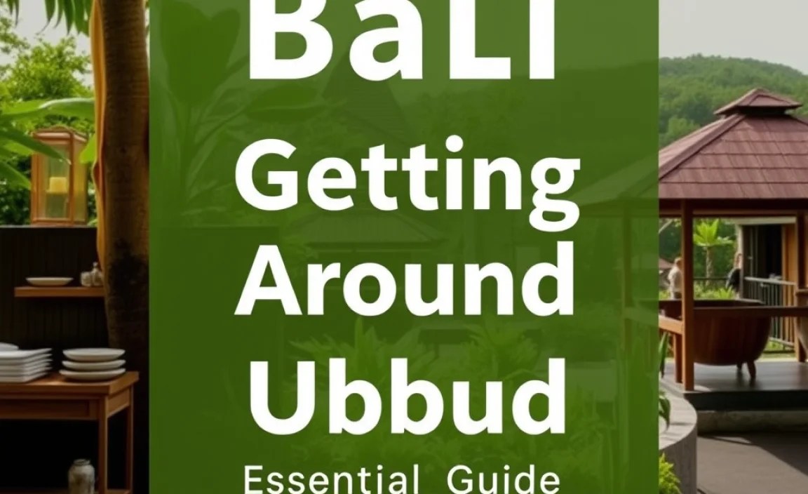 Getting Around Ubud