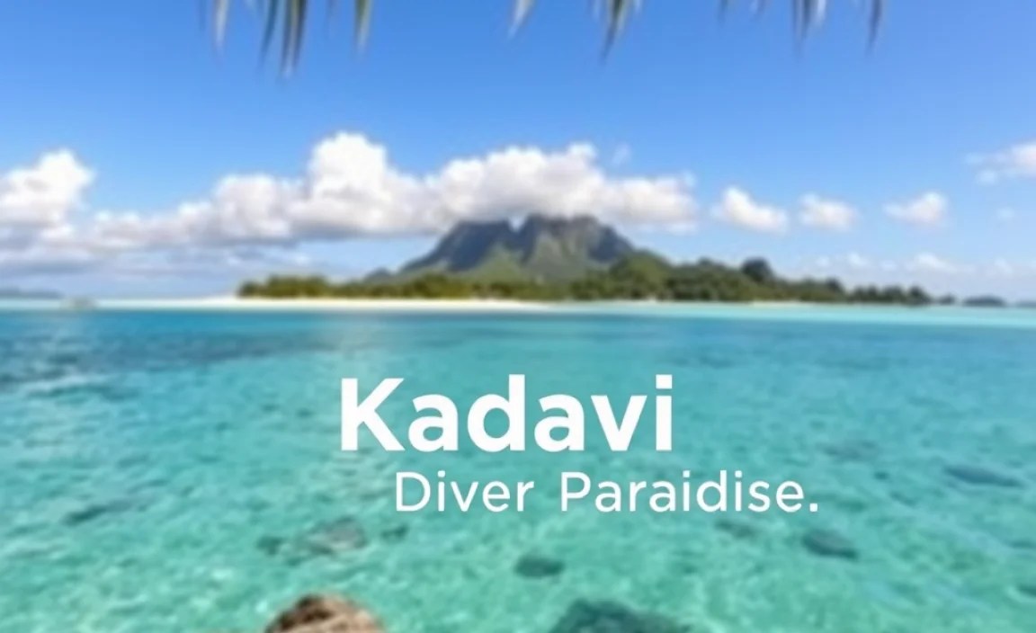 Kadavu: A Diver&rsquo;s Paradise