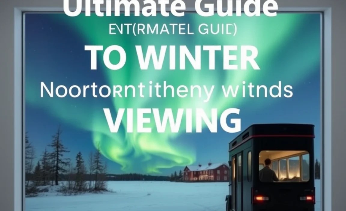 Local Tours and Experiences