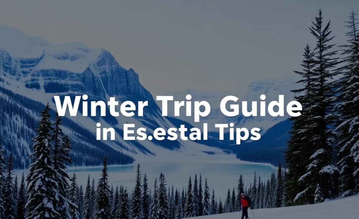 Must-Do Winter Activities in Banff
