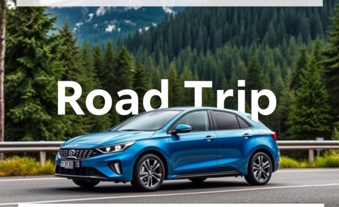 Navigating the Black Forest by Car