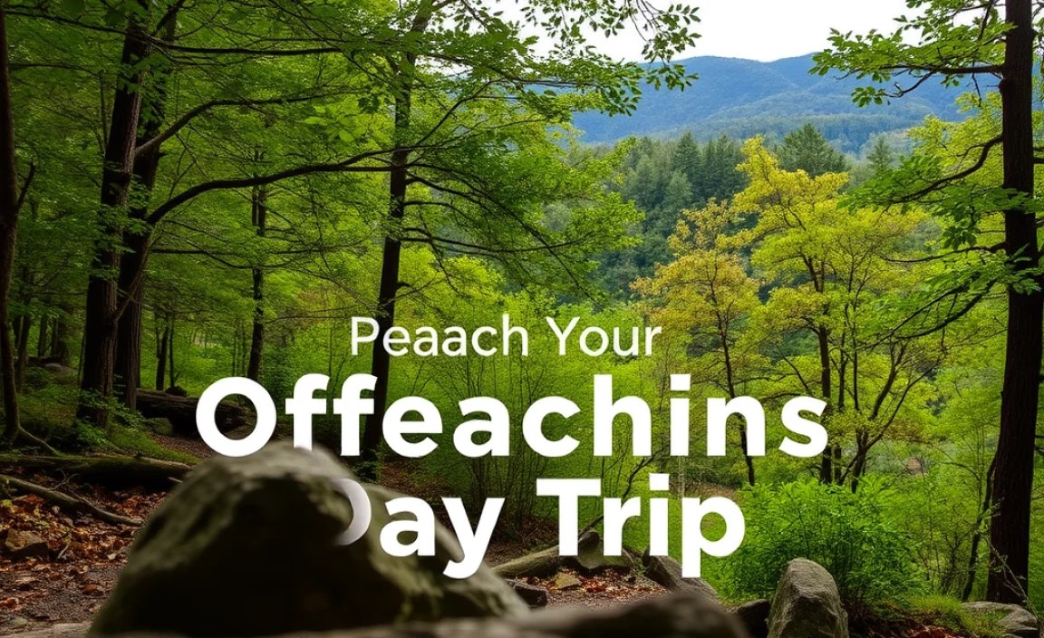 Planning Your Appalachian Offbeat Day Trip