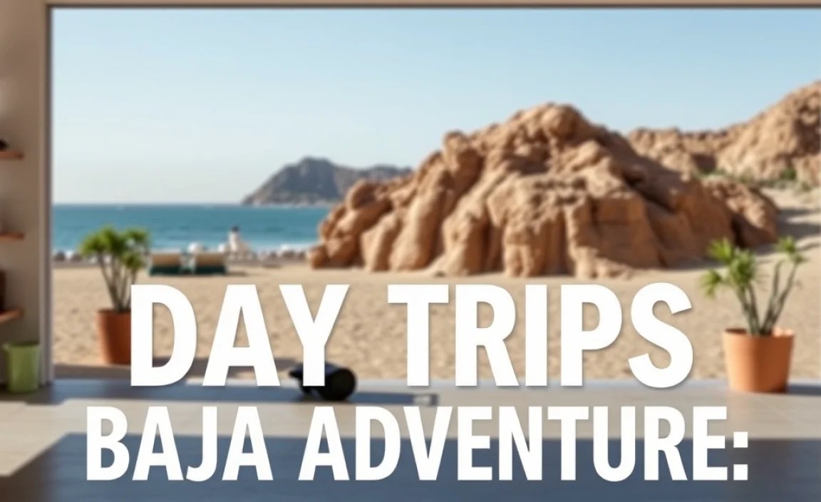 Planning Your Offbeat Baja Adventure: Essential Tips