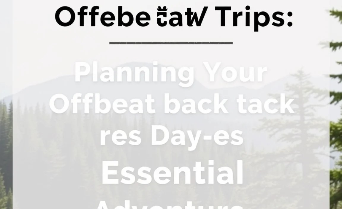 Planning Your Offbeat Black Forest Day Trip