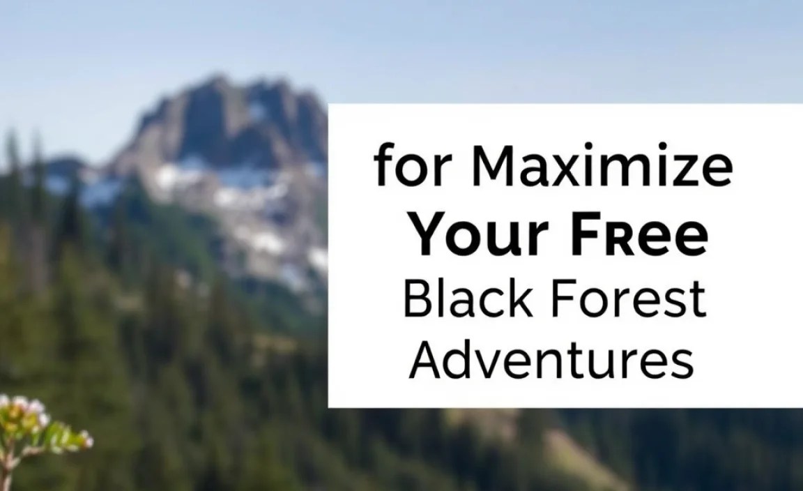 Practical Tips for Maximizing Your Free Black Forest Adventures