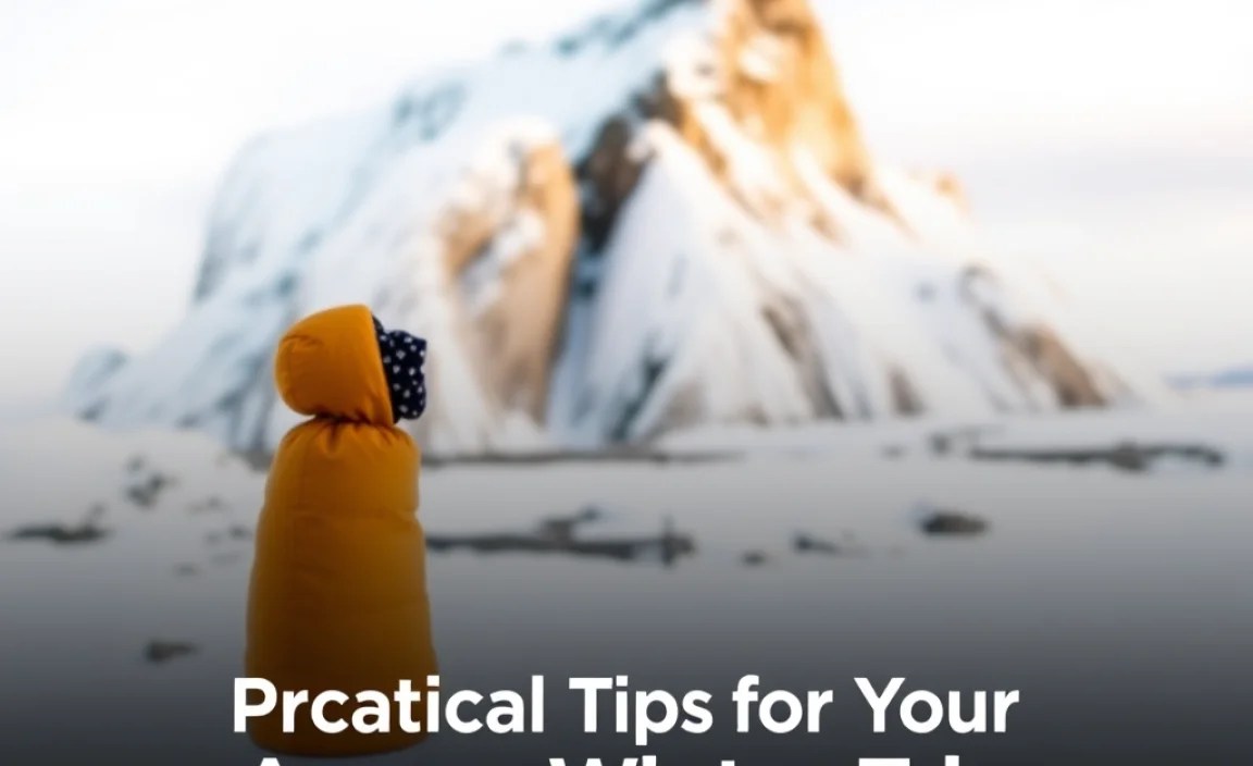 Practical Tips for Your Azores Winter Trip
