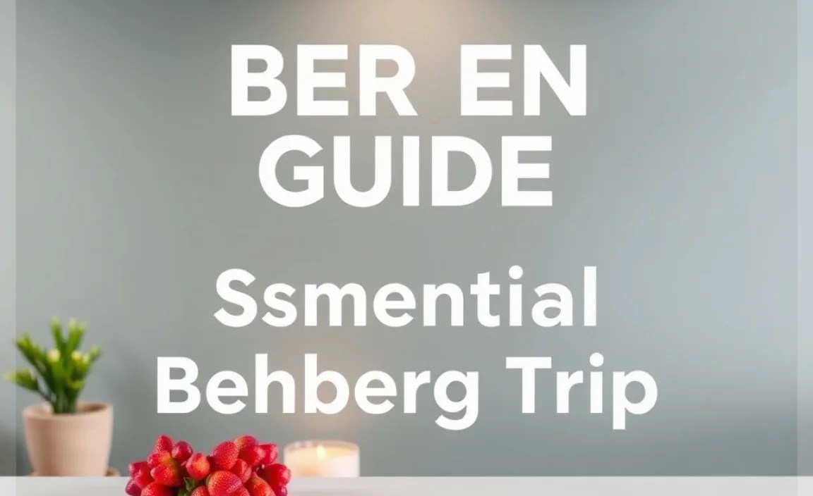 Practical Tips for Your Romantic Bergen Trip