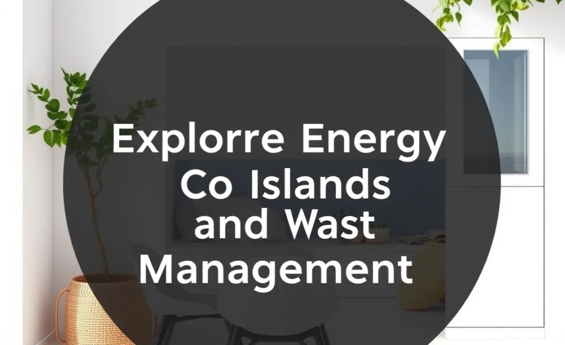 Renewable Energy and Waste Management