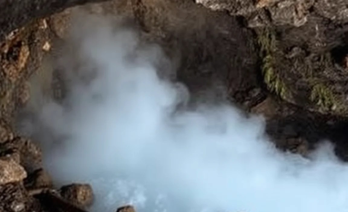 Safety Considerations and Precautions