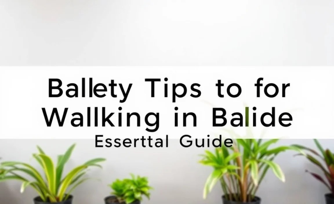 Safety Tips for Walking in Belize