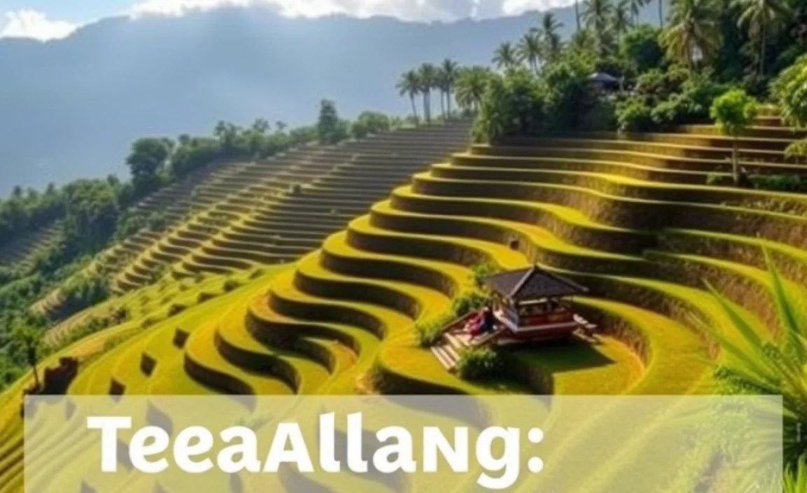 Tegallalang: Iconic Rice Terraces