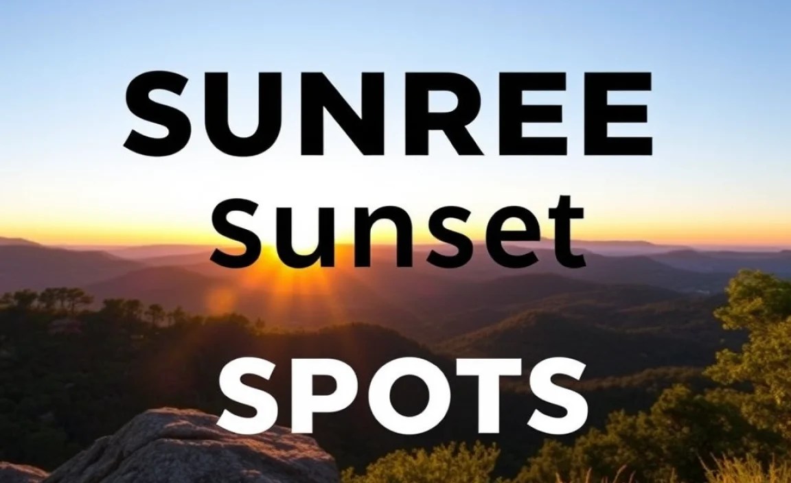 Tips for Getting That Perfect Shot