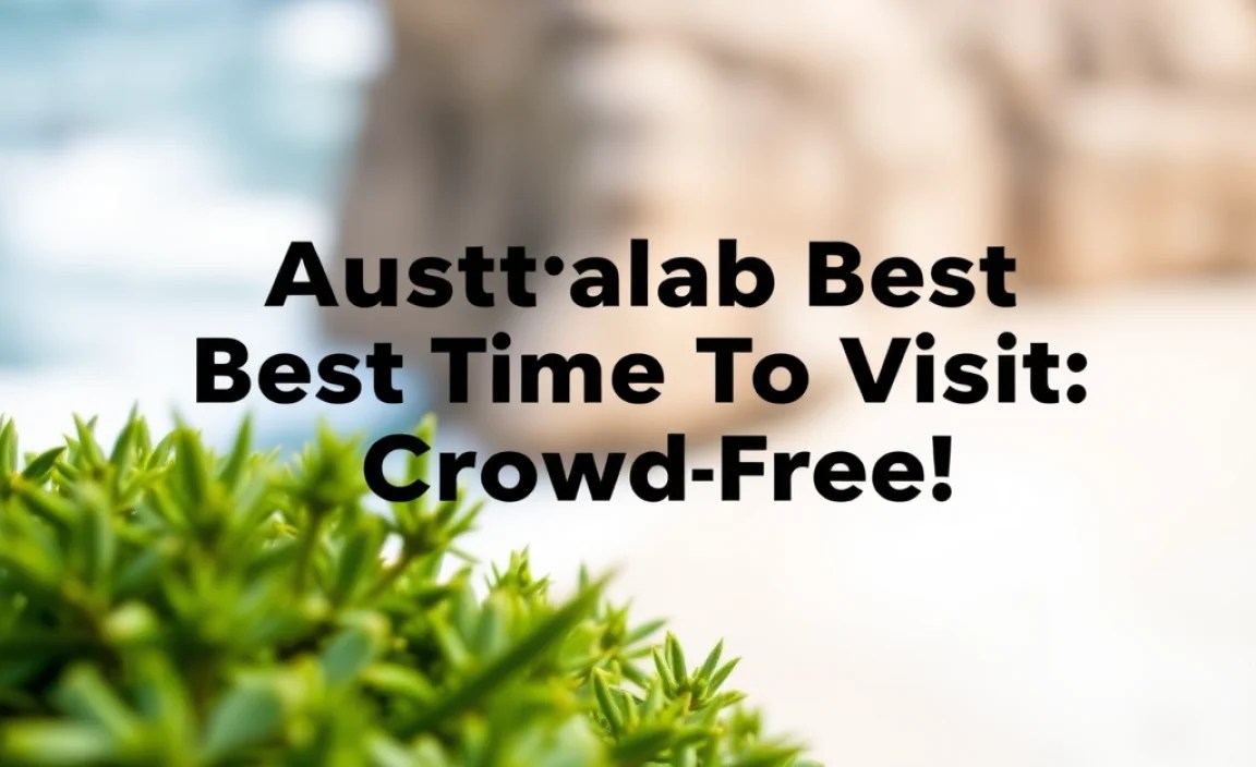 Travel Tips for a Crowd-Free Experience