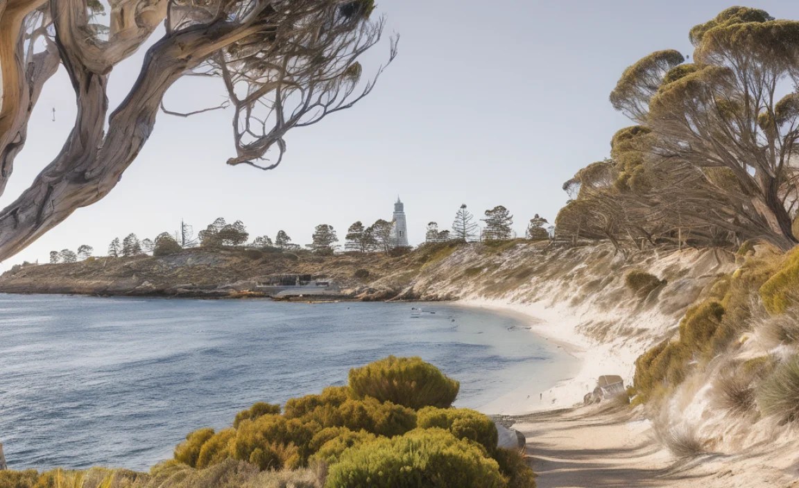 Ultimate Perth Fremantle & Rottnest Same Weekend Plan!