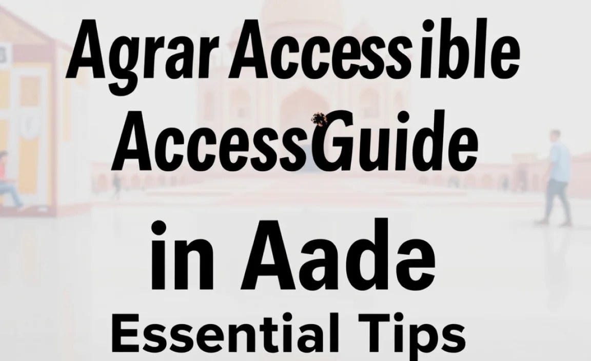 Understanding Accessibility in Agra