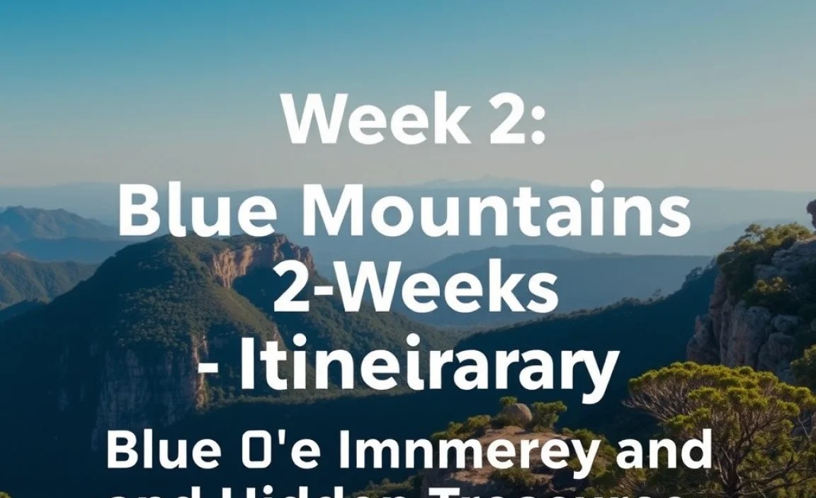 Week 2: Nature Immersion and Hidden Treasures