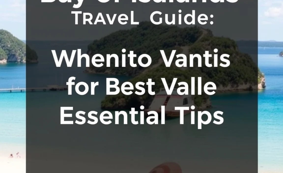 When to Visit for Best Value
