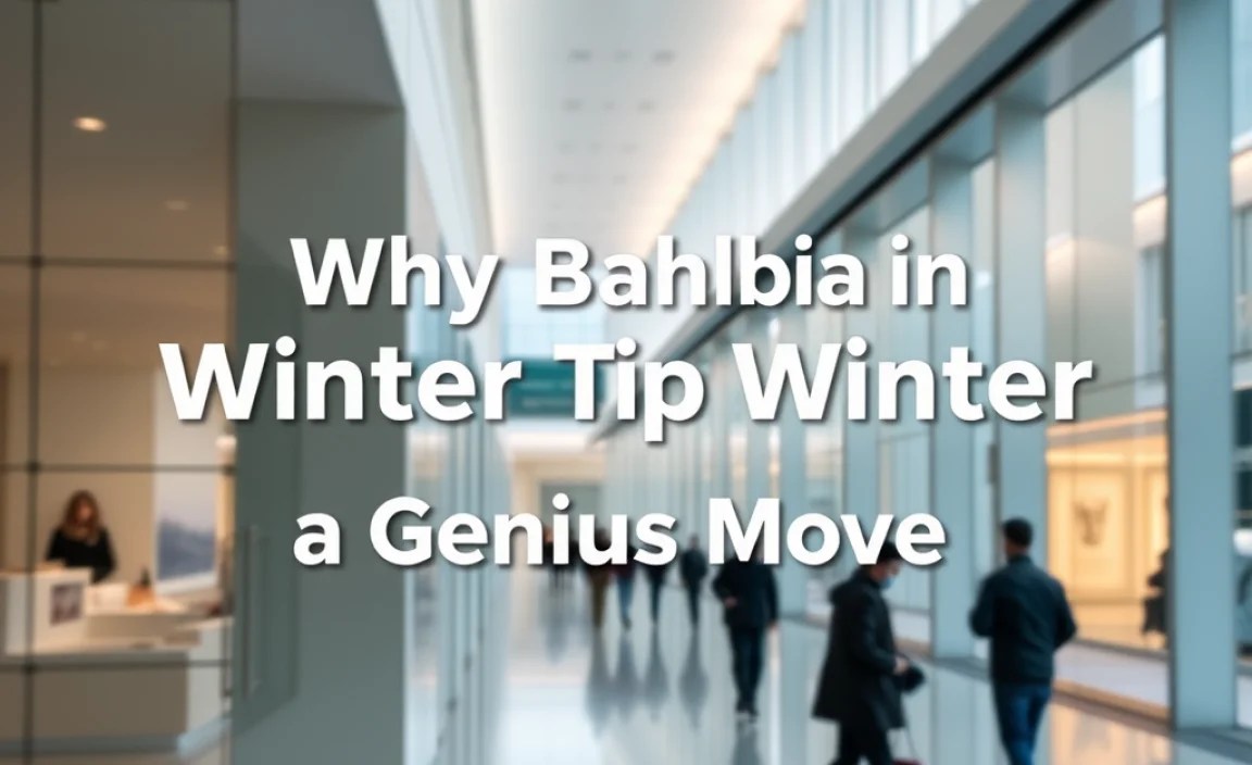 Why Bahrain in Winter is a Genius Move
