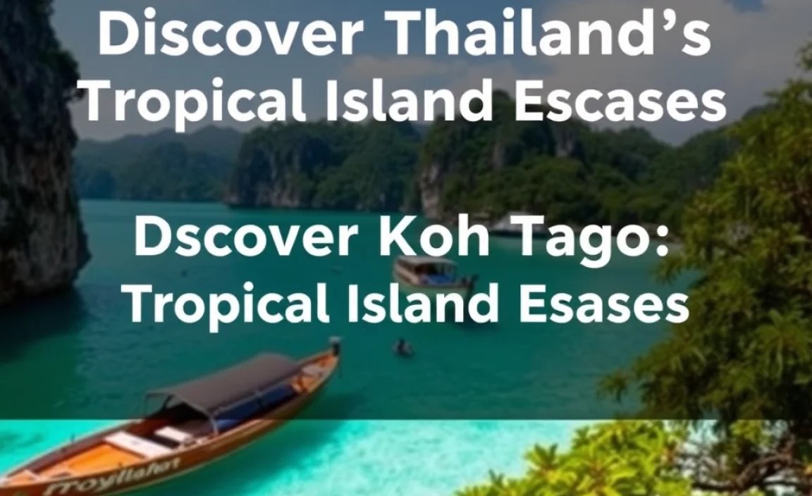 Discover Koh Tao: A Diver&rsquo;s Dream