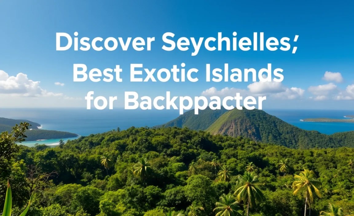 Exploring The Lush Forests