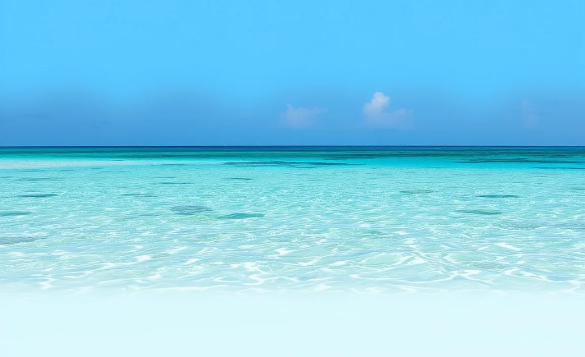 Stunning Mnemba Island