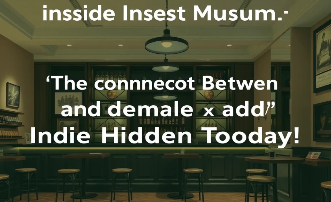 The Connection Between Museums and Hidden Bars