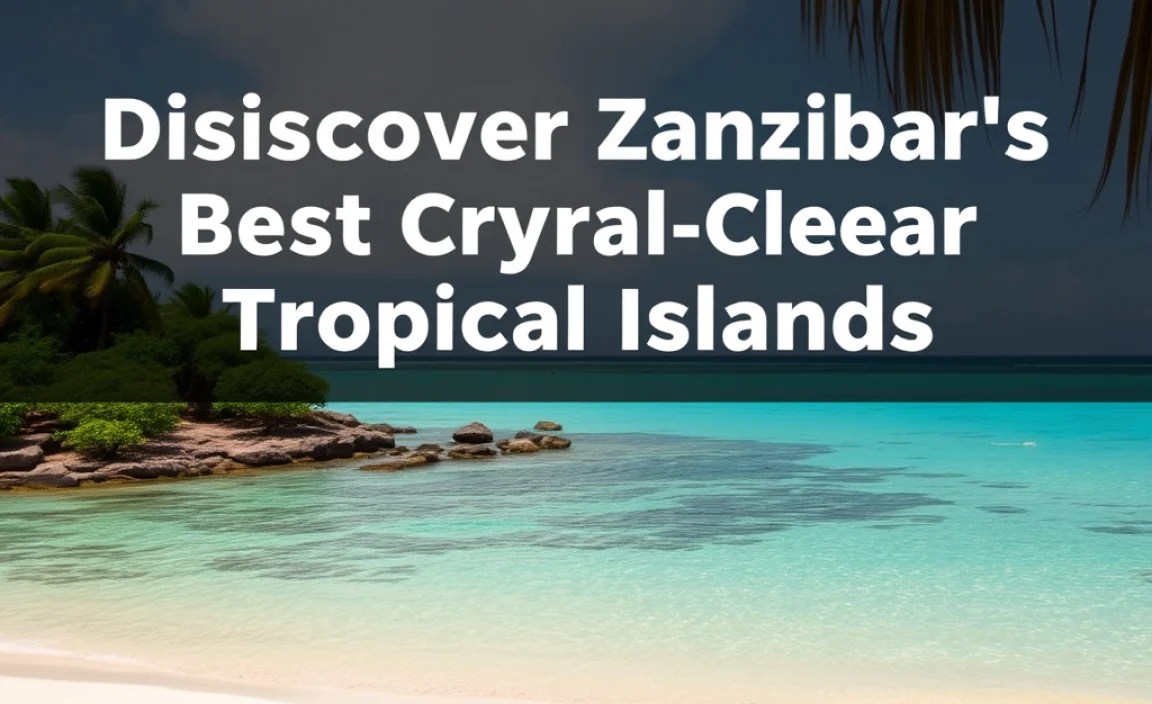 The Tranquil Mafia Island