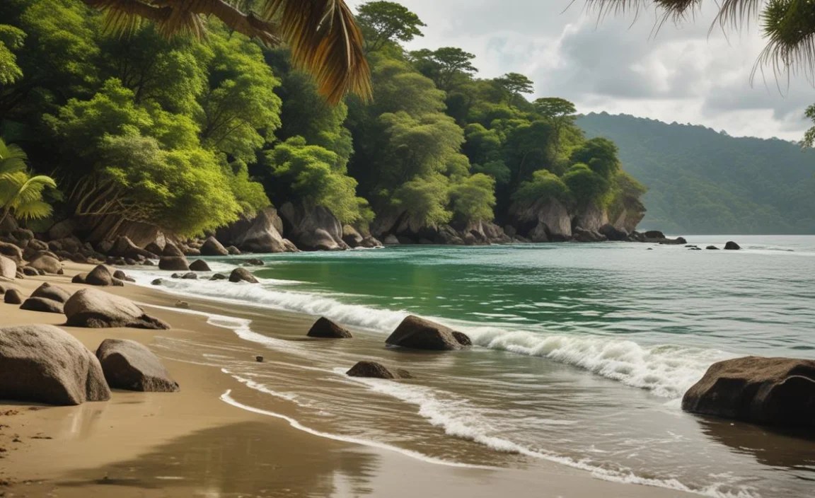 Accommodation Options