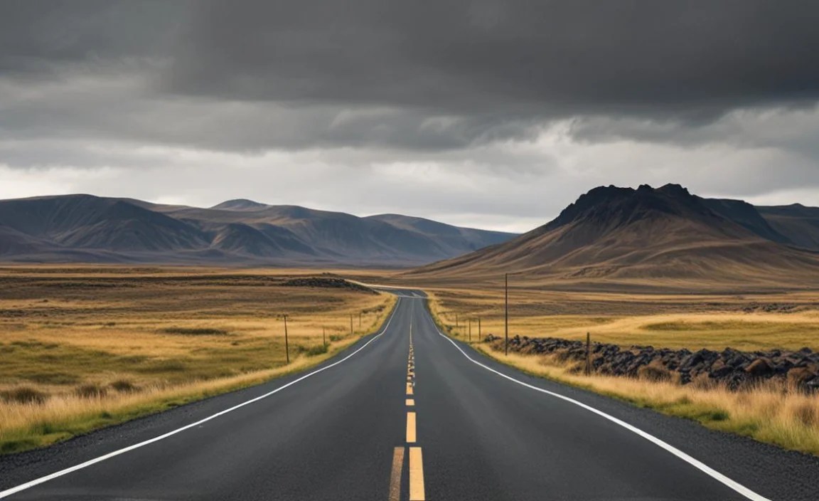 Choosing the Right Vehicle