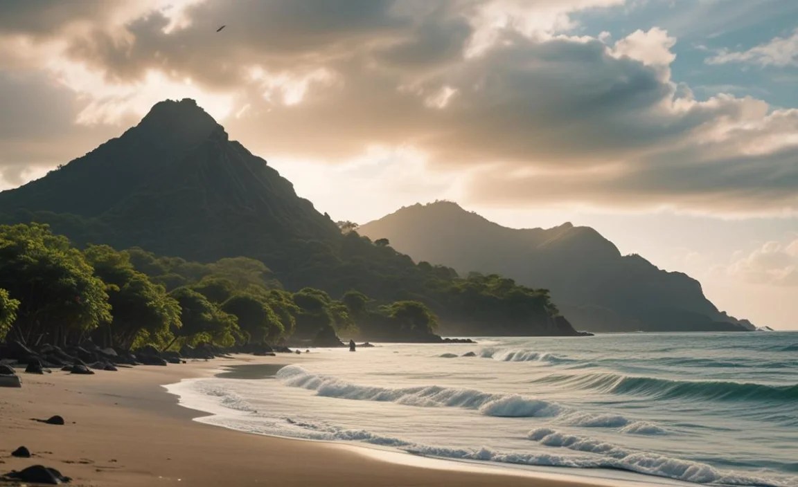 Monteverde Cloud Forest Reserve