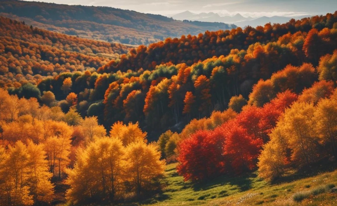 Photography Tips for Capturing Fall Colors