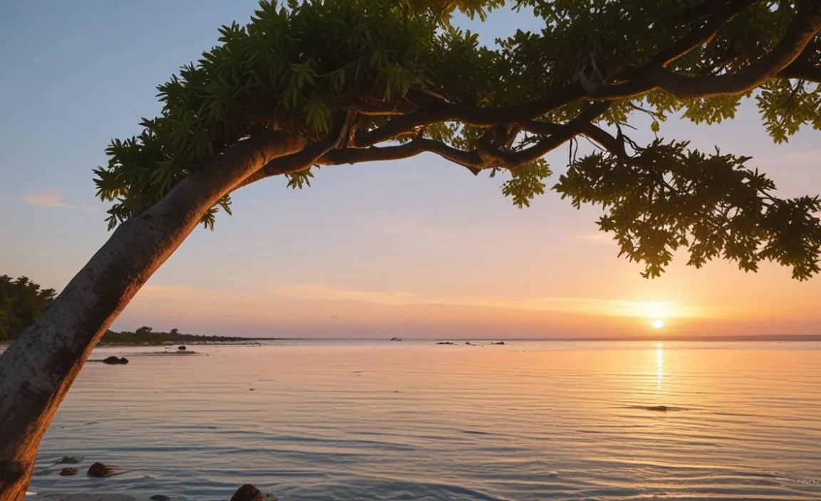 Planning Your Photo Excursions: Practical Tips