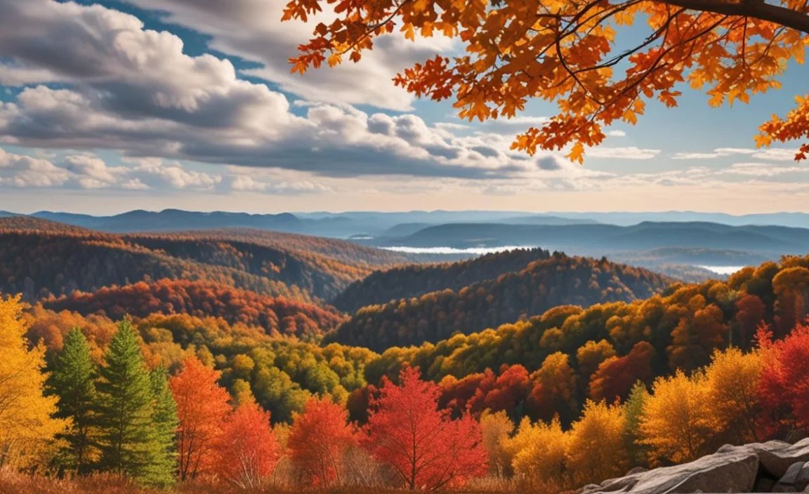 Understanding the Science Behind Fall Foliage