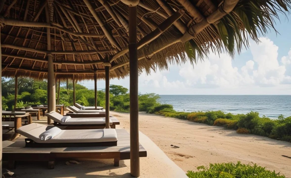 What Are Eco-Lodges?