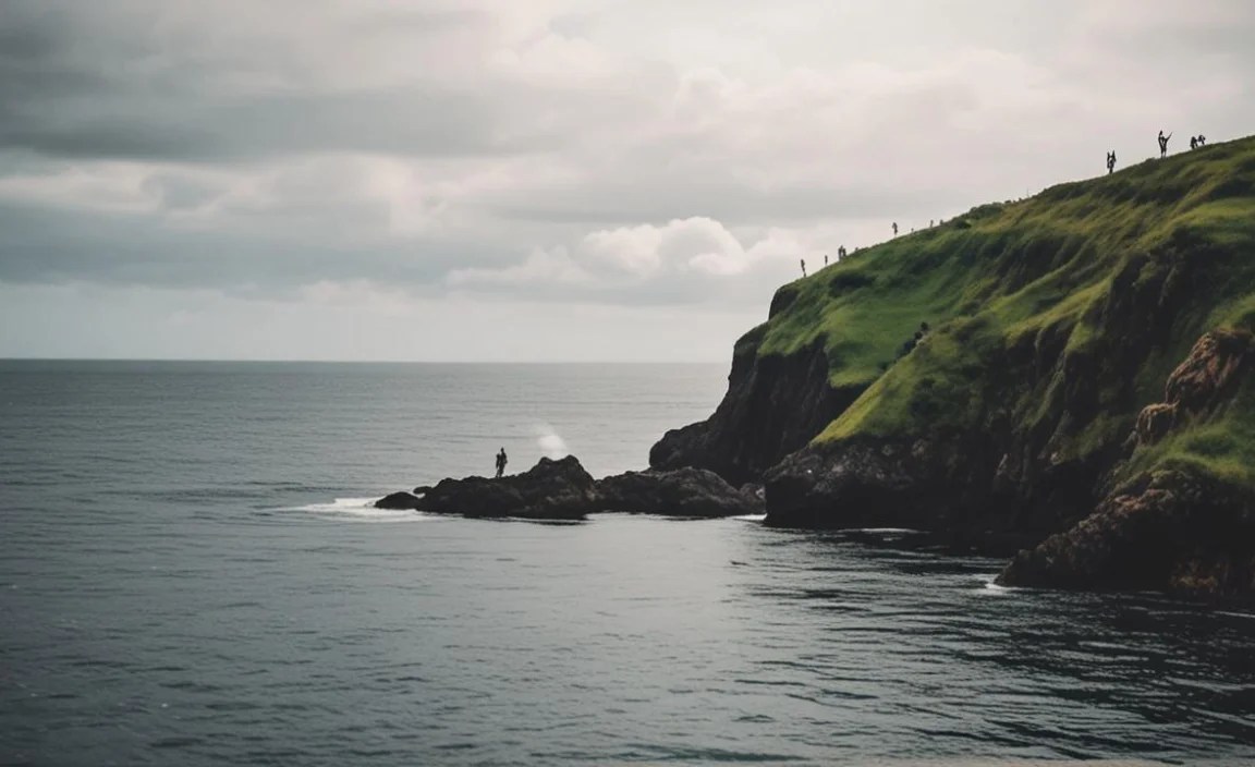 Environmental Considerations