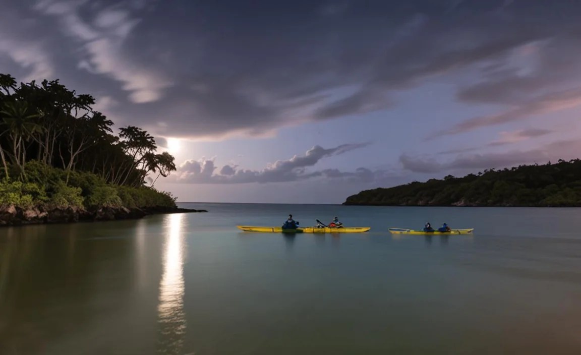 Environmental Considerations