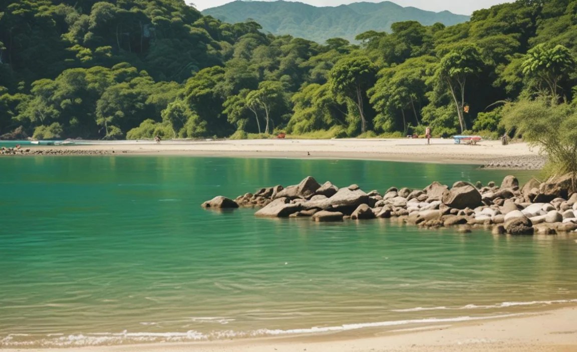 Visitor Experience and Accessibility