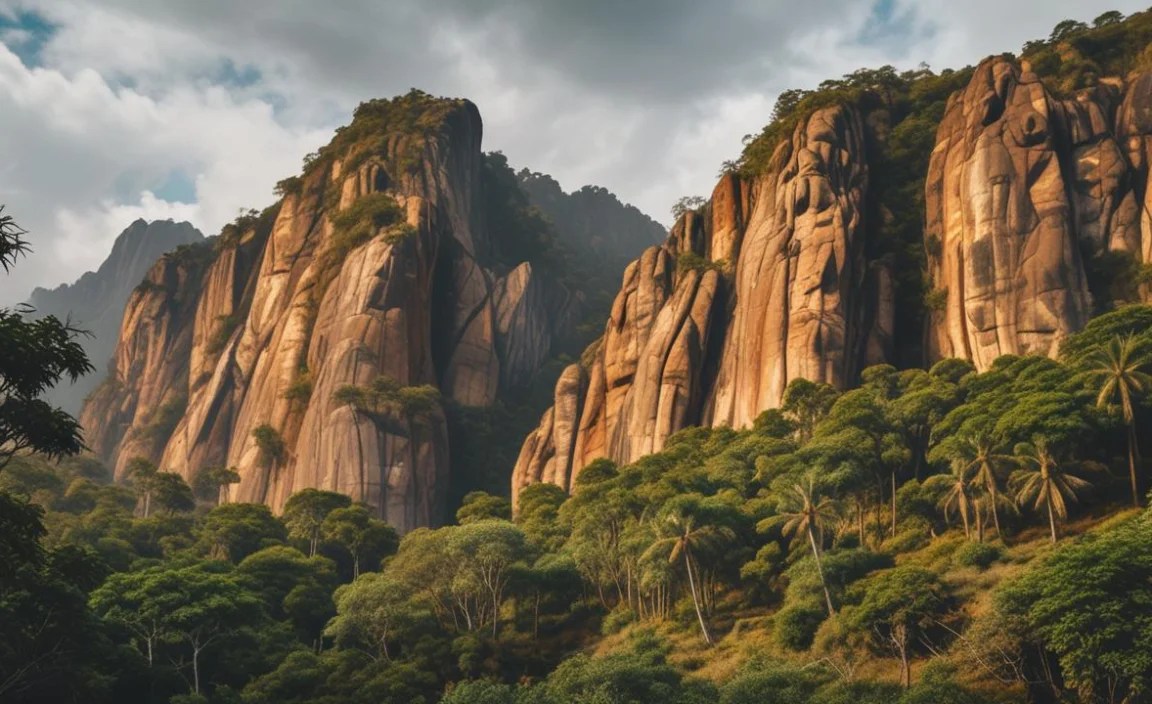 Activities Offered in National Parks